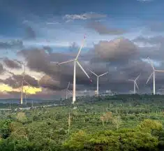 Les carburants alternatifs : impacts environnementaux et distinctions