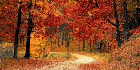 Les incontournables de la mode et du style pour la prochaine saison