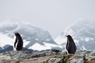 L’Antarctique : un continent de mystères à découvrir