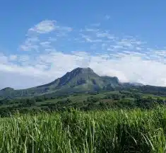 Louez une voiture pour visiter la Martinique à votre rythme