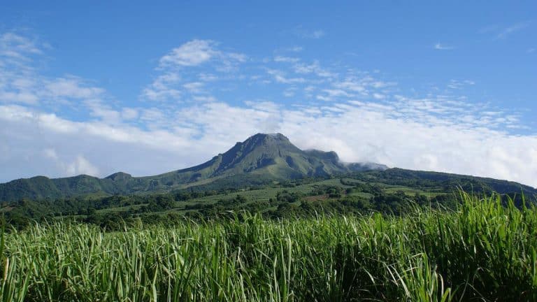 Louez une voiture pour visiter la Martinique à votre rythme