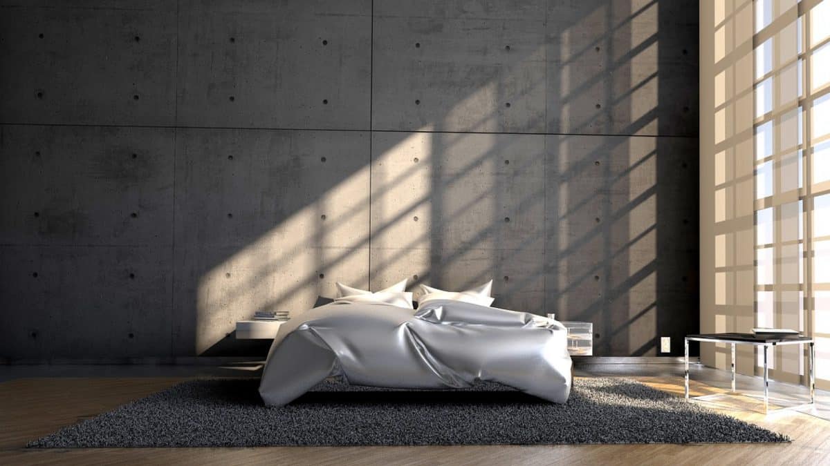 Punaises de lit : comment les repérer ?